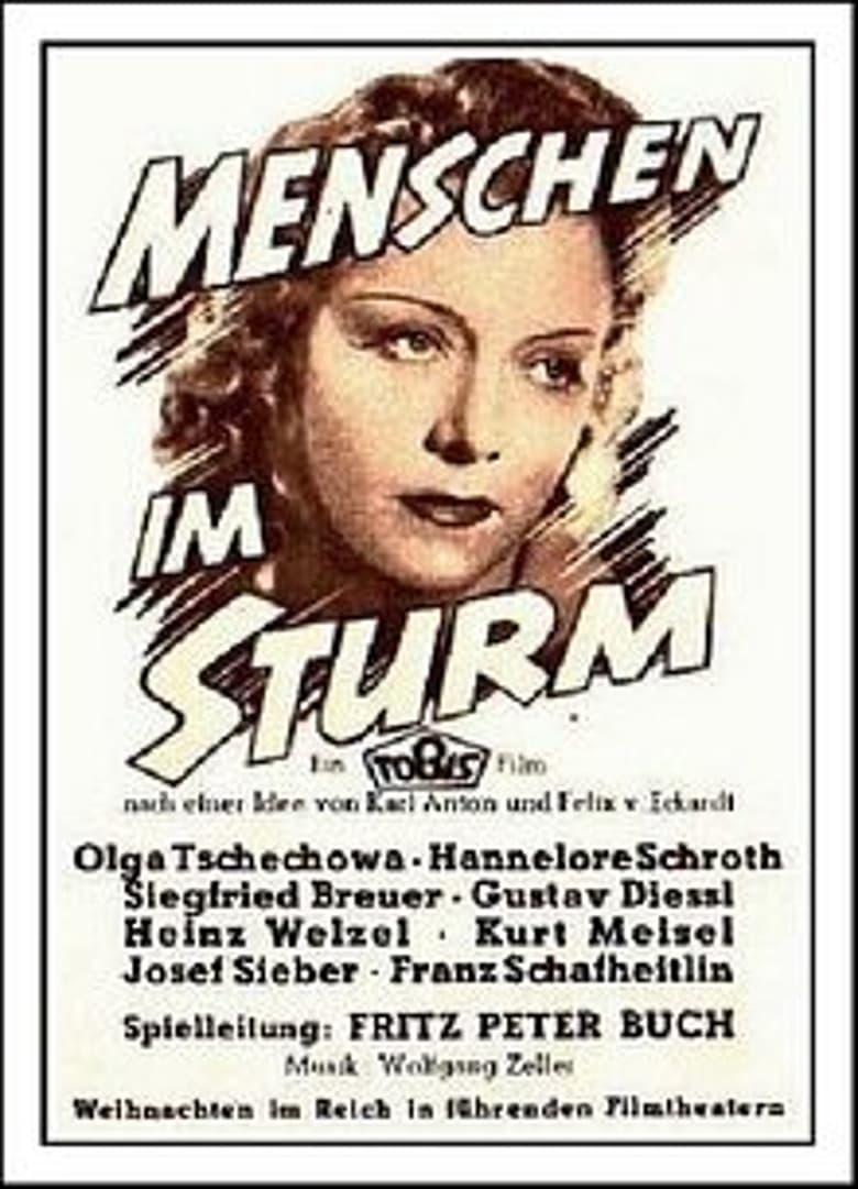 Poster of Menschen im Sturm