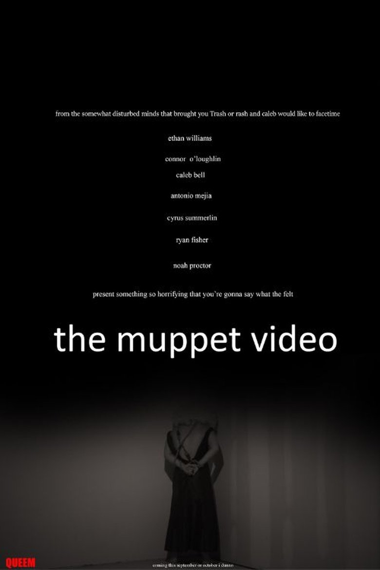 Poster of The Muppet Video