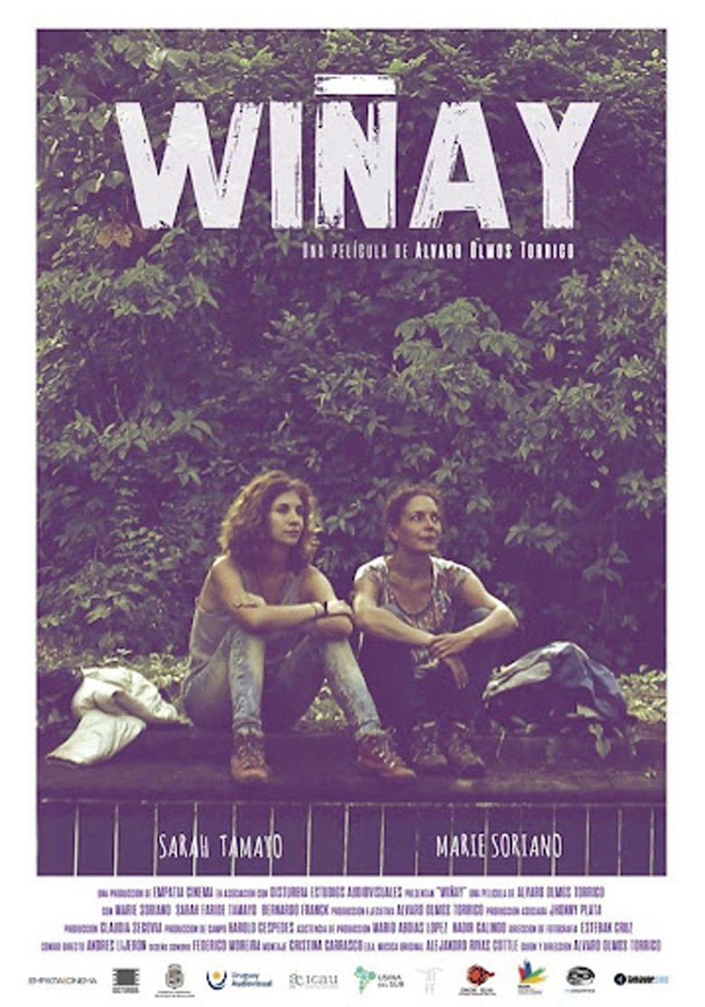Poster of Wiñay
