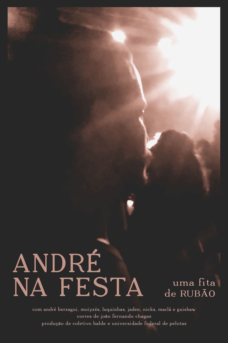 Poster of André na Festa