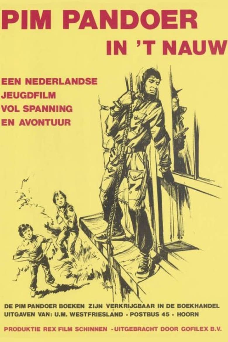 Poster of Pim Pandoer in het Nauw