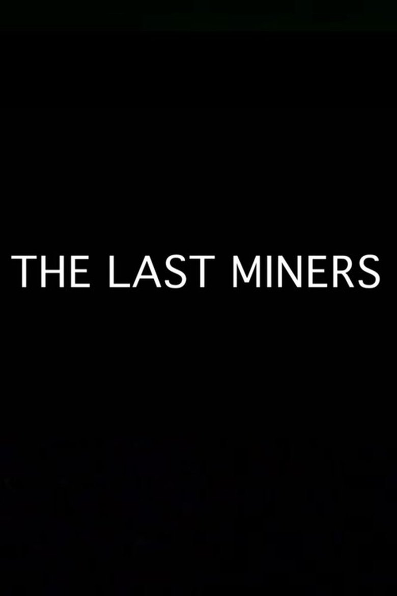 Poster of The Last Miners
