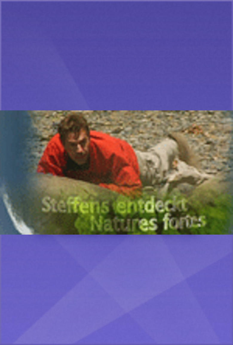 Poster of Steffens entdeckt