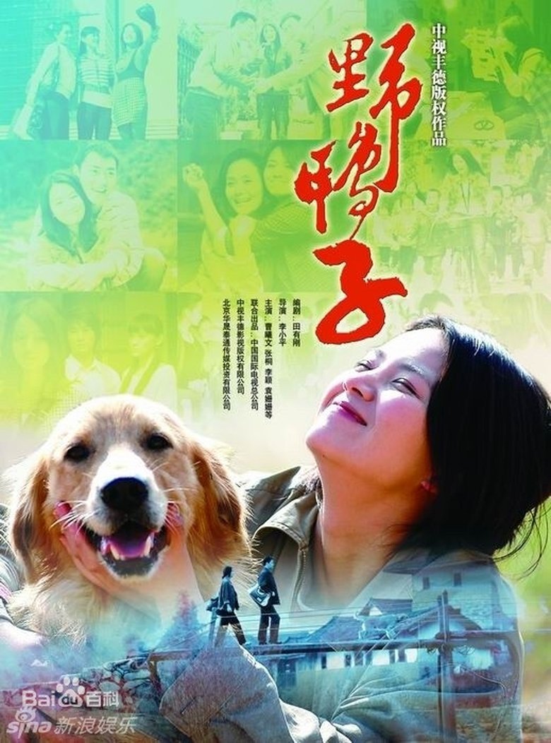 Poster of Episodes in 野鸭子 - Season 1 - Season 1