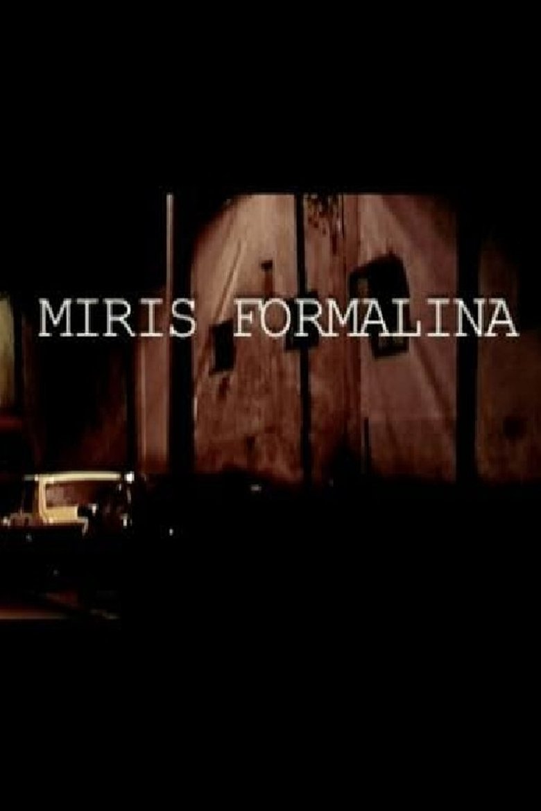 Poster of The Scent of Formaldehyde
