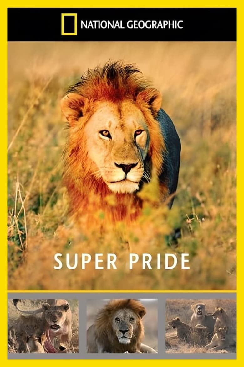 Poster of Superpride