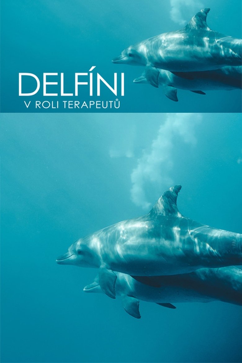 Poster of Curaçao, des dauphins thérapeutes