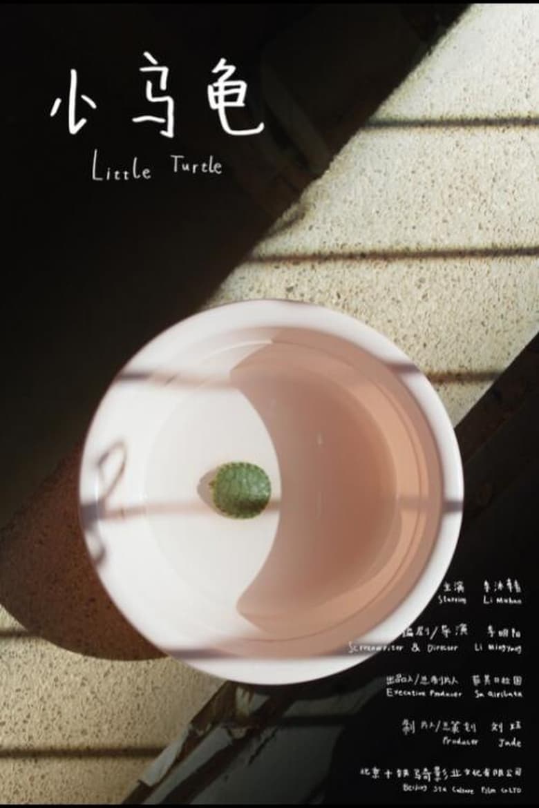 Poster of Little Turtle