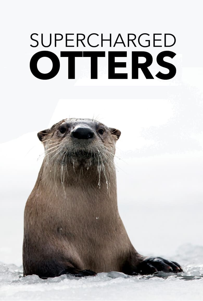 Poster of Supercharged Otters