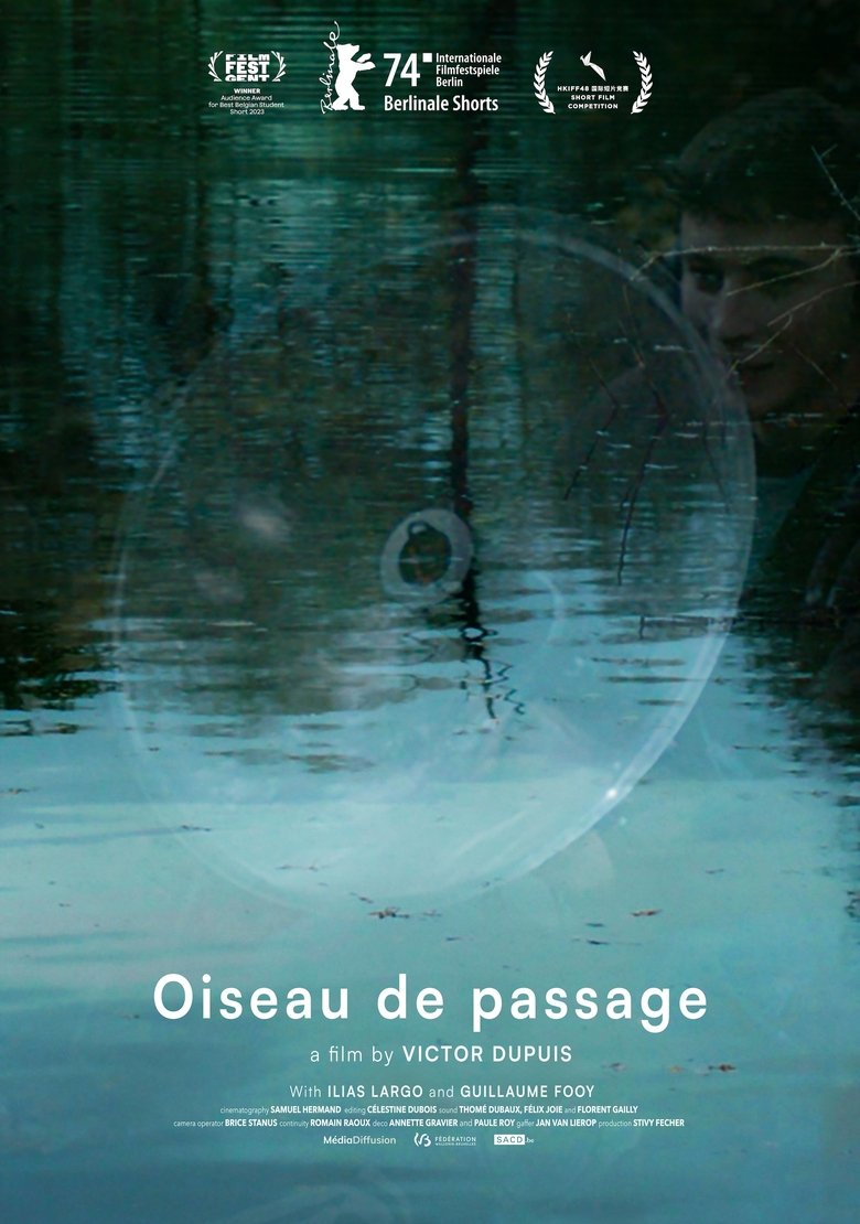 Poster of Wandering Bird