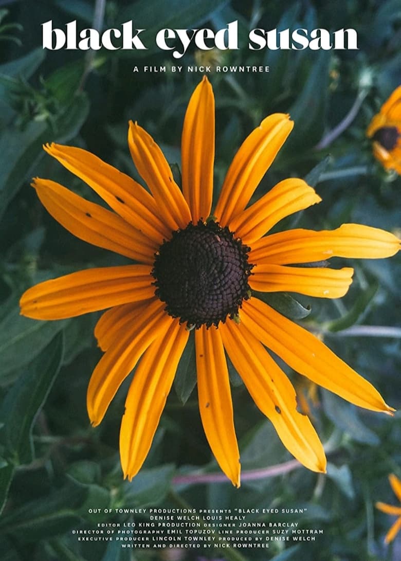 Poster of Black Eyed Susan