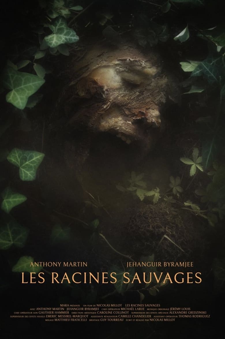 Poster of The Wild Roots