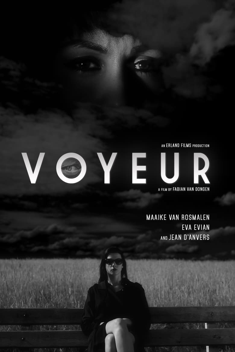 Poster of Voyeur