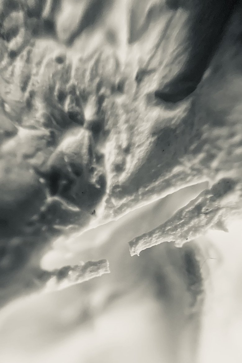 Poster of Rough Texture / Pilot Run