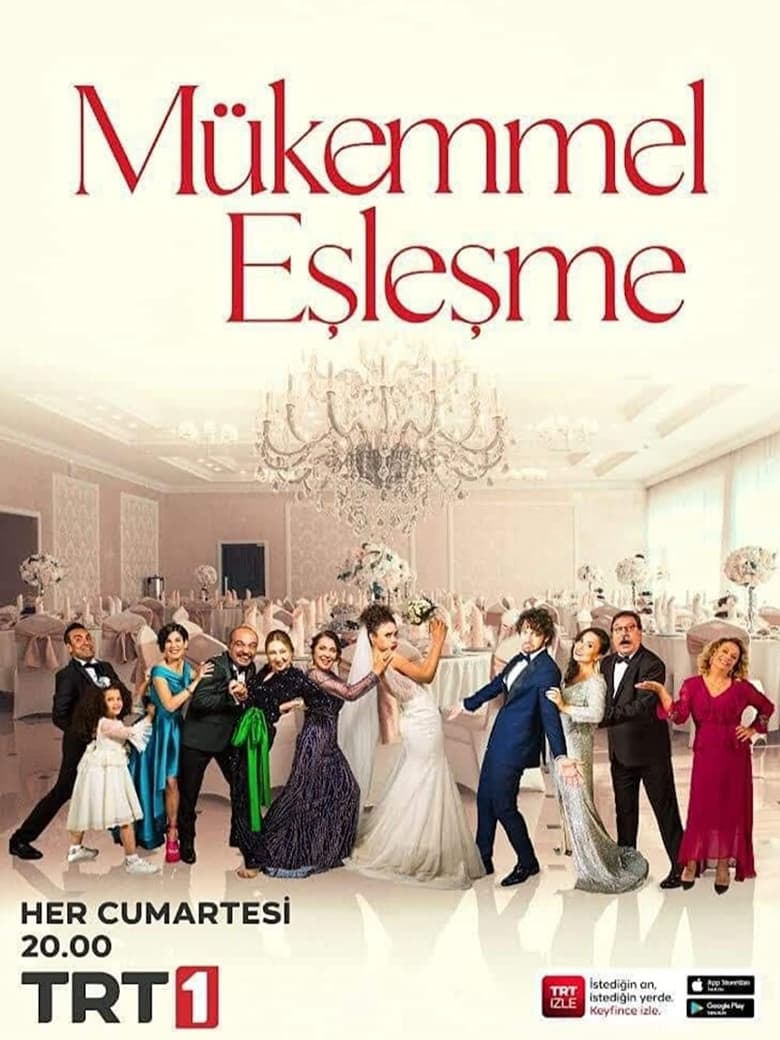 Poster of Mükemmel Eşleşme