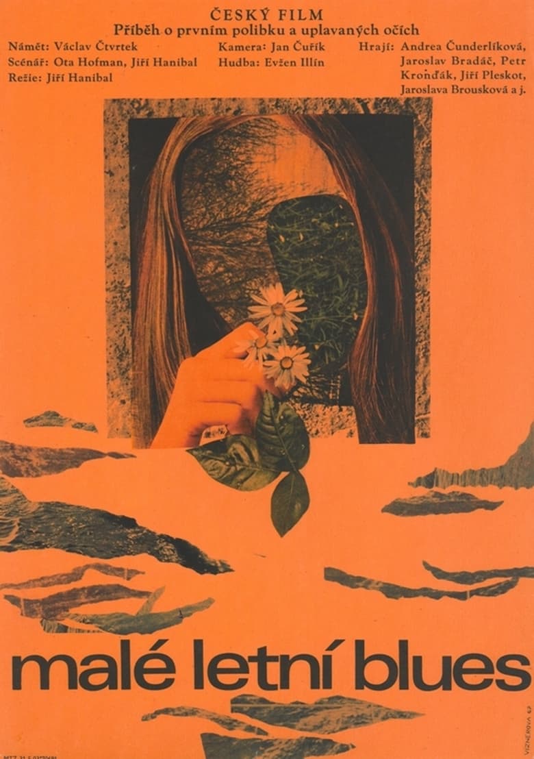 Poster of Malé letní blues