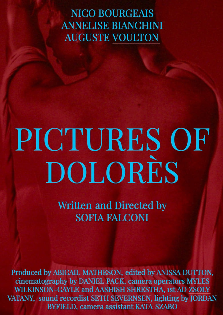 Poster of Pictures of Dolorès