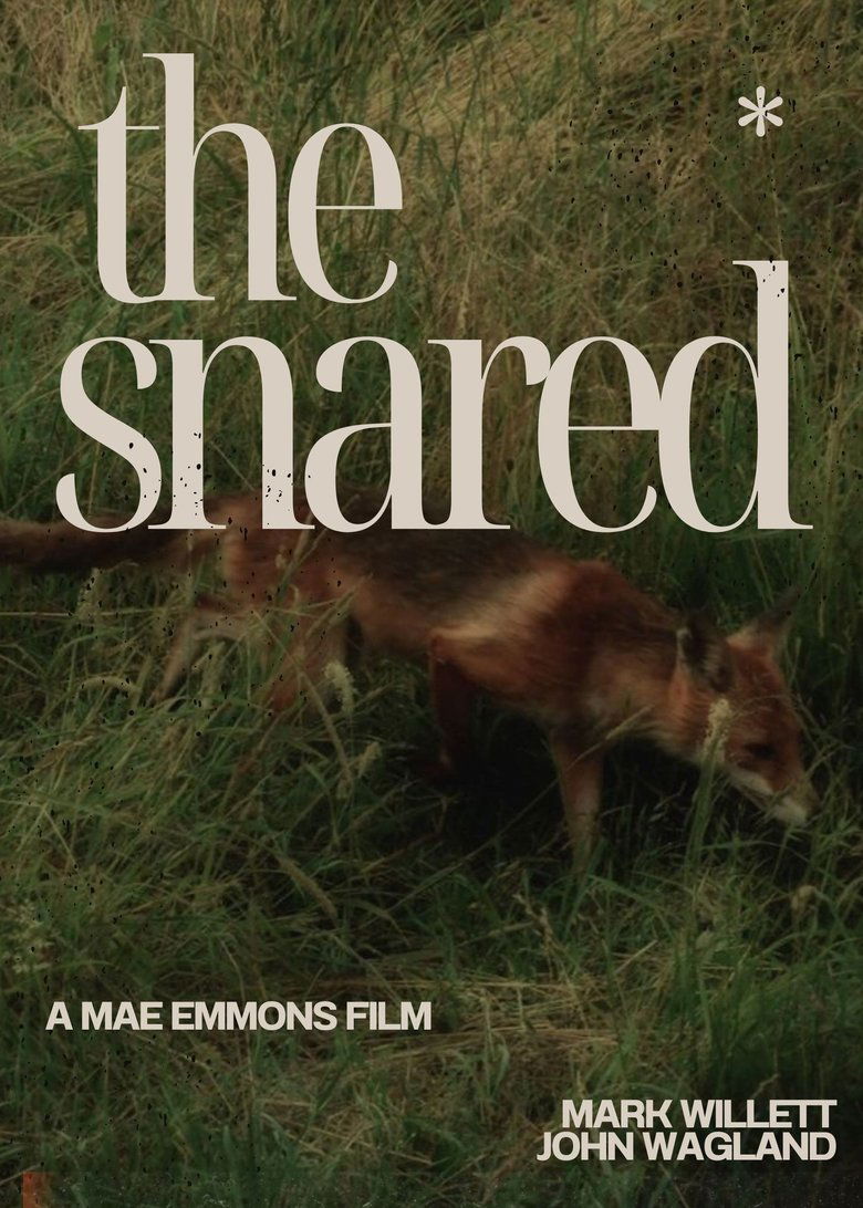 Poster of The Snared