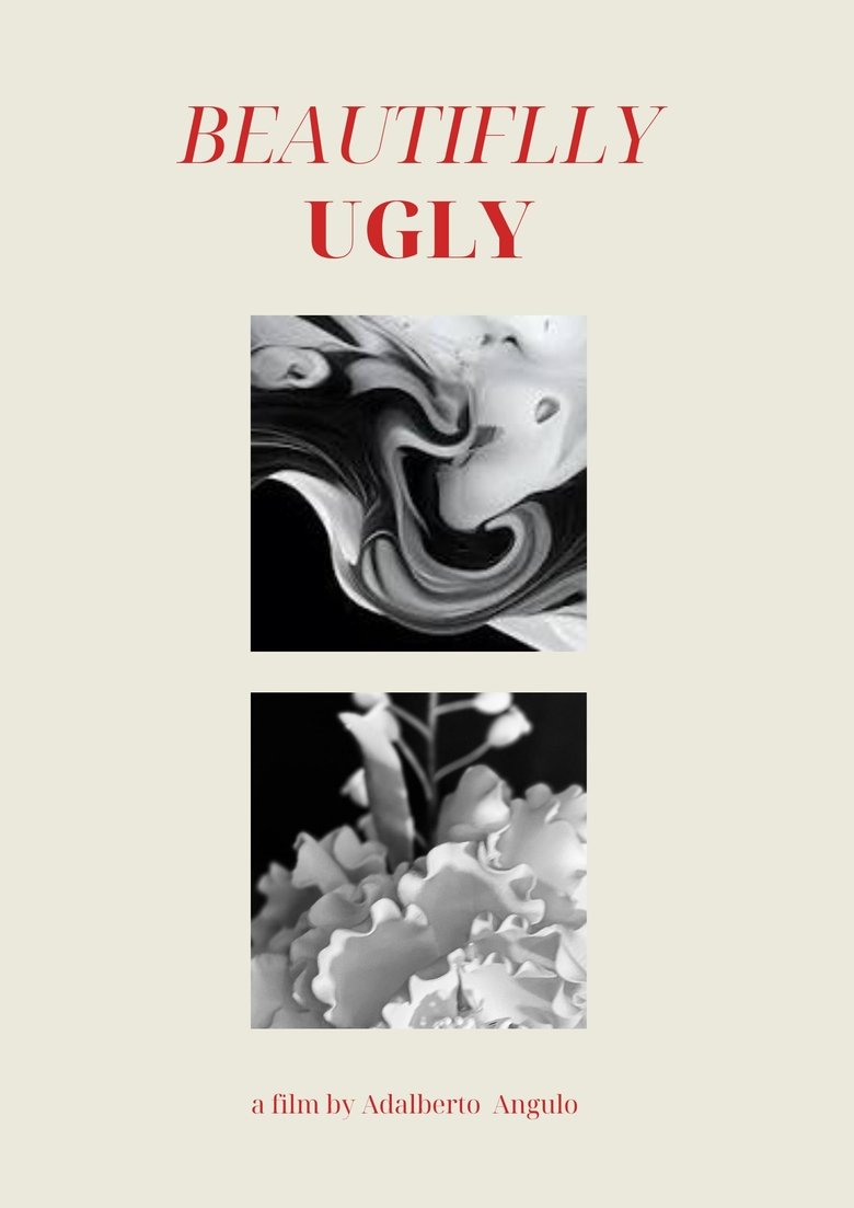Poster of Beautifully Ugly