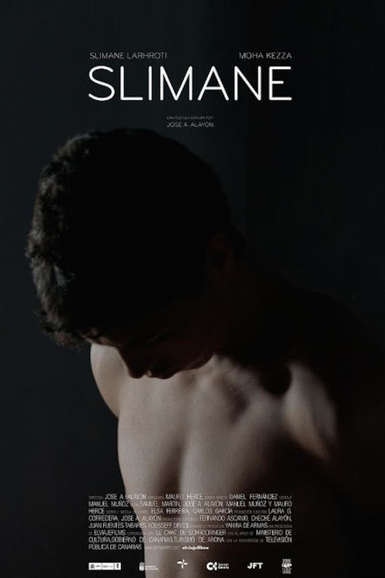 Poster of Slimane