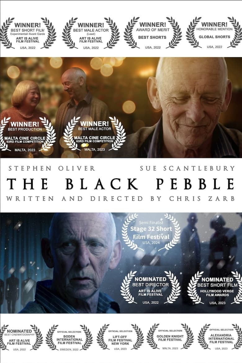 Poster of The Black Pebble