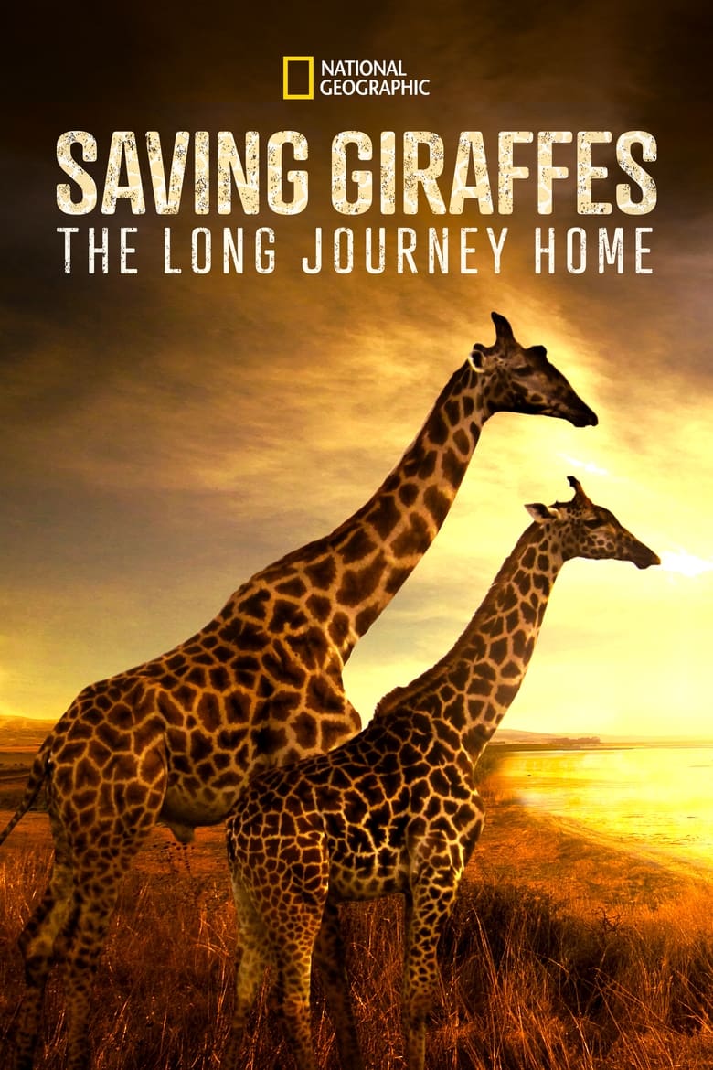 Poster of Saving Giraffes: The Long Journey Home