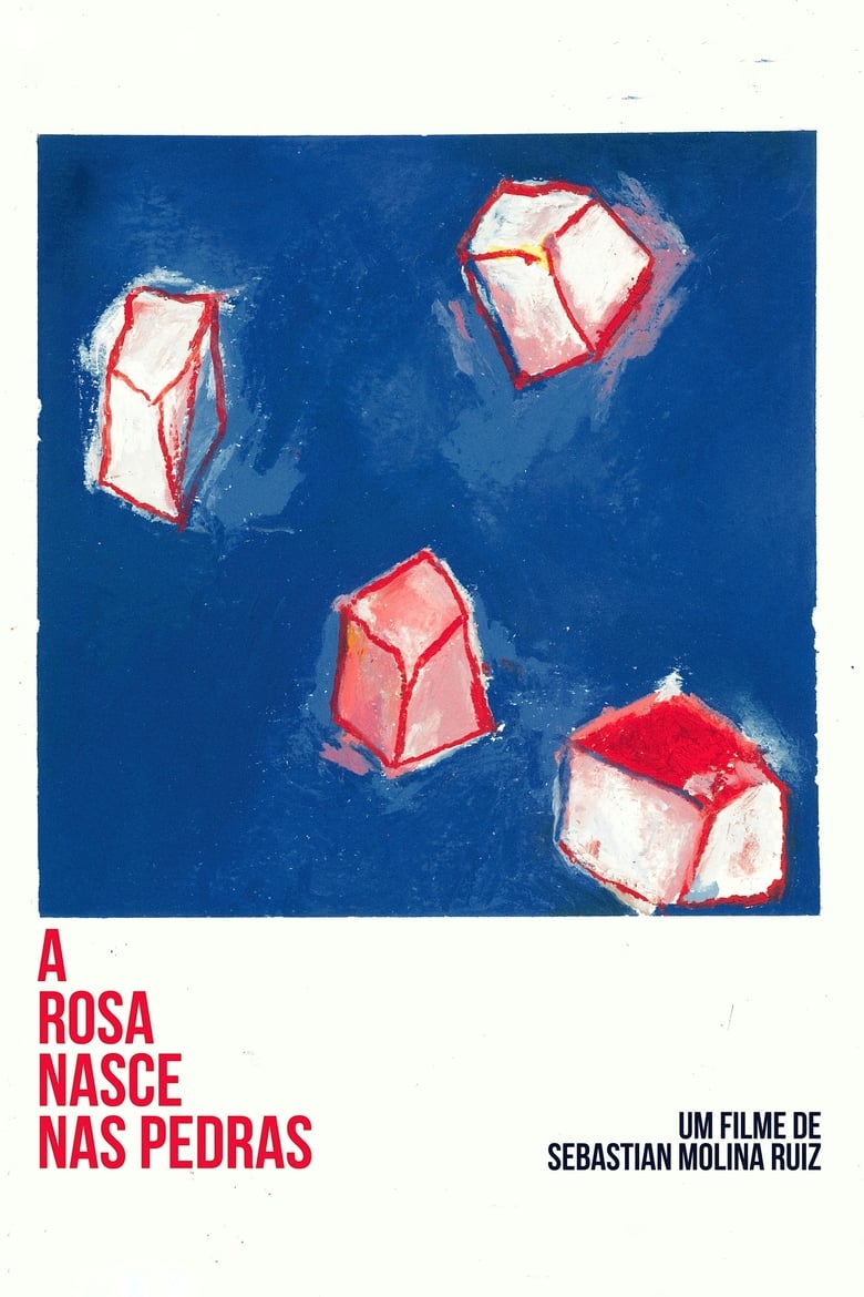 Poster of A Rosa Nasce Nas Pedras