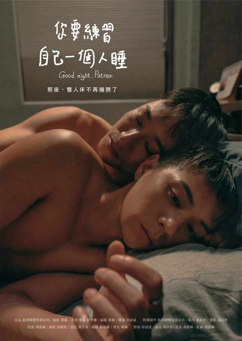 Poster of Good night. Partner.
