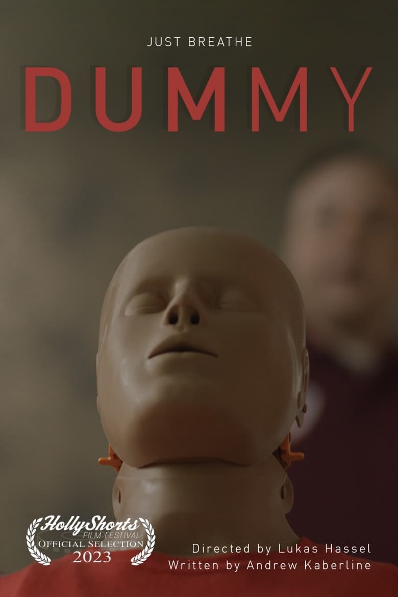 Poster of Dummy