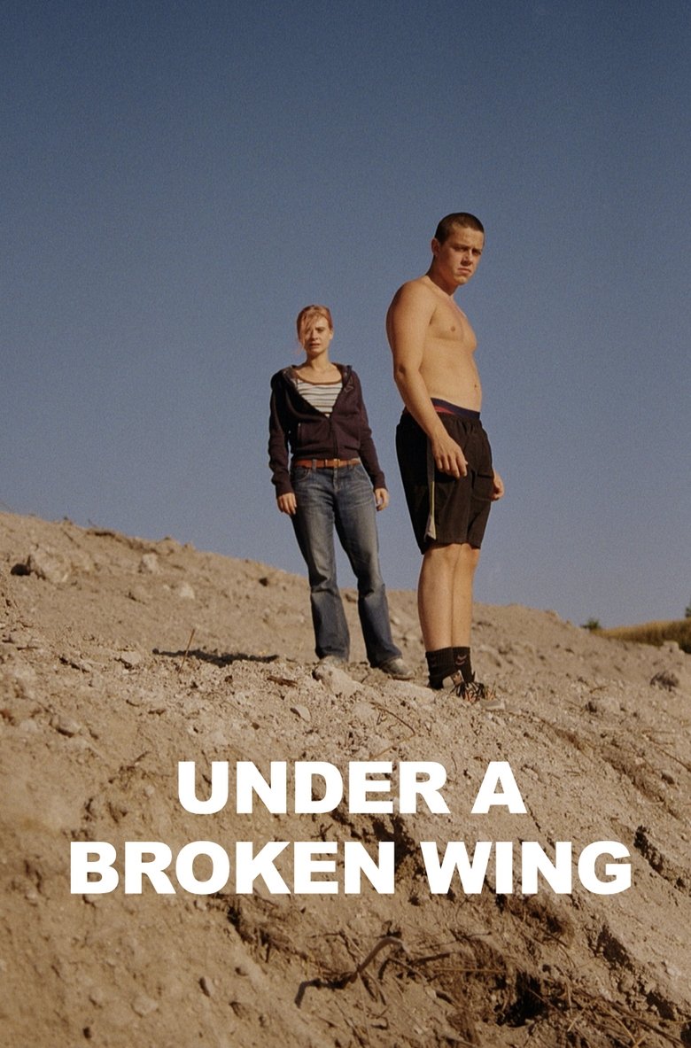 Poster of Under a Broken Wing