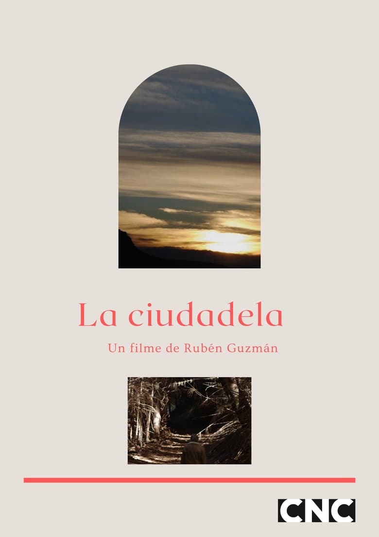 Poster of La ciudadela