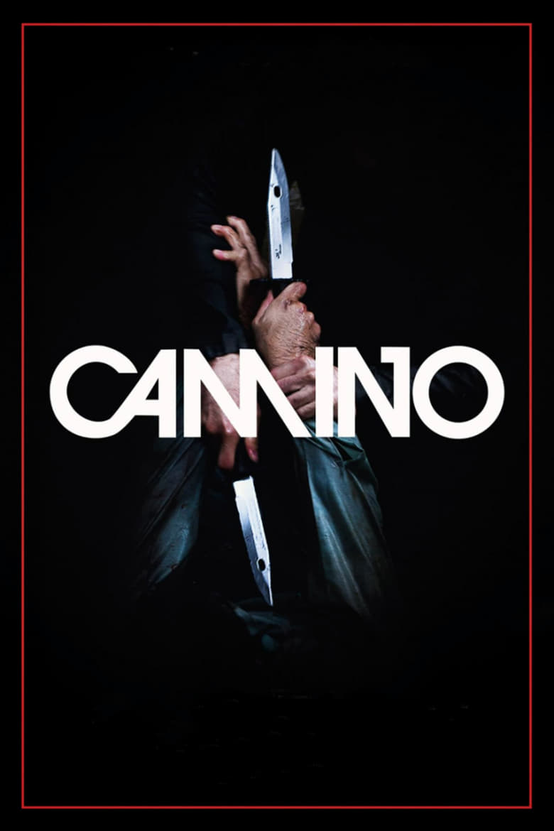 Poster of Camino