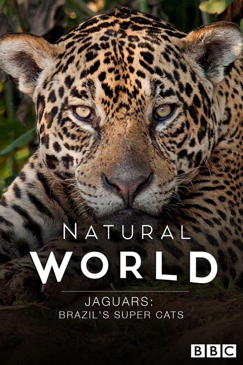 Poster of Jaguars: Brazil's Super Cats