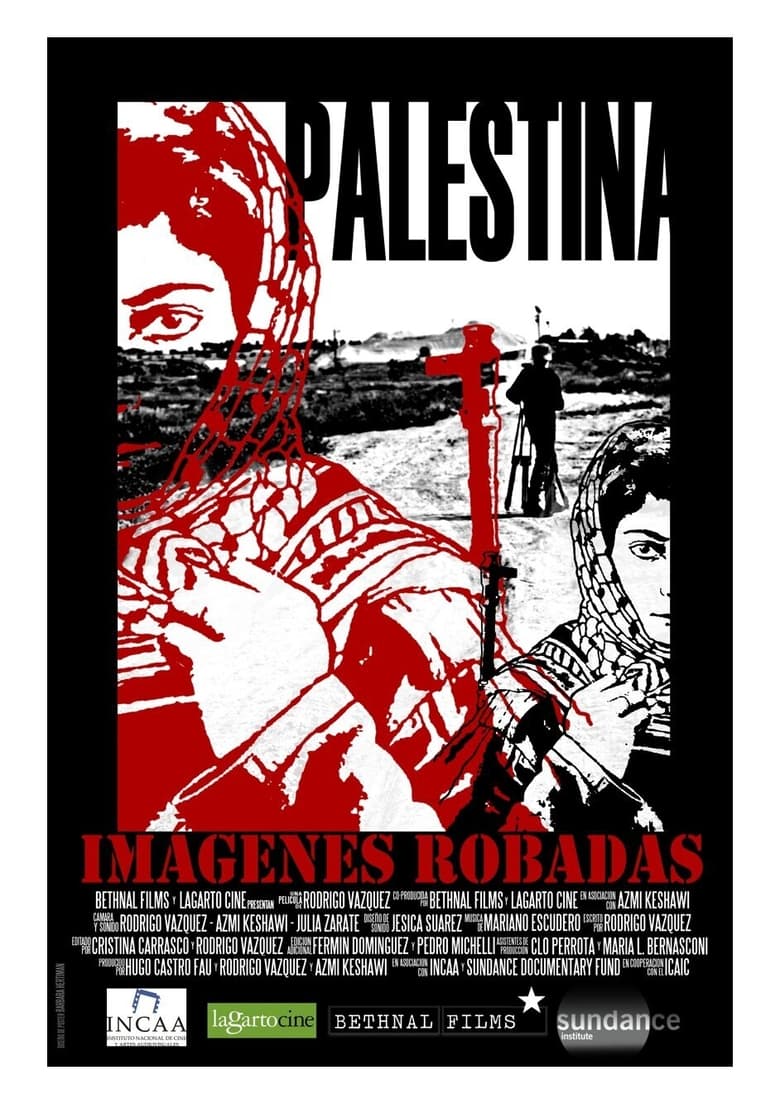 Poster of Palestine: Stolen Images