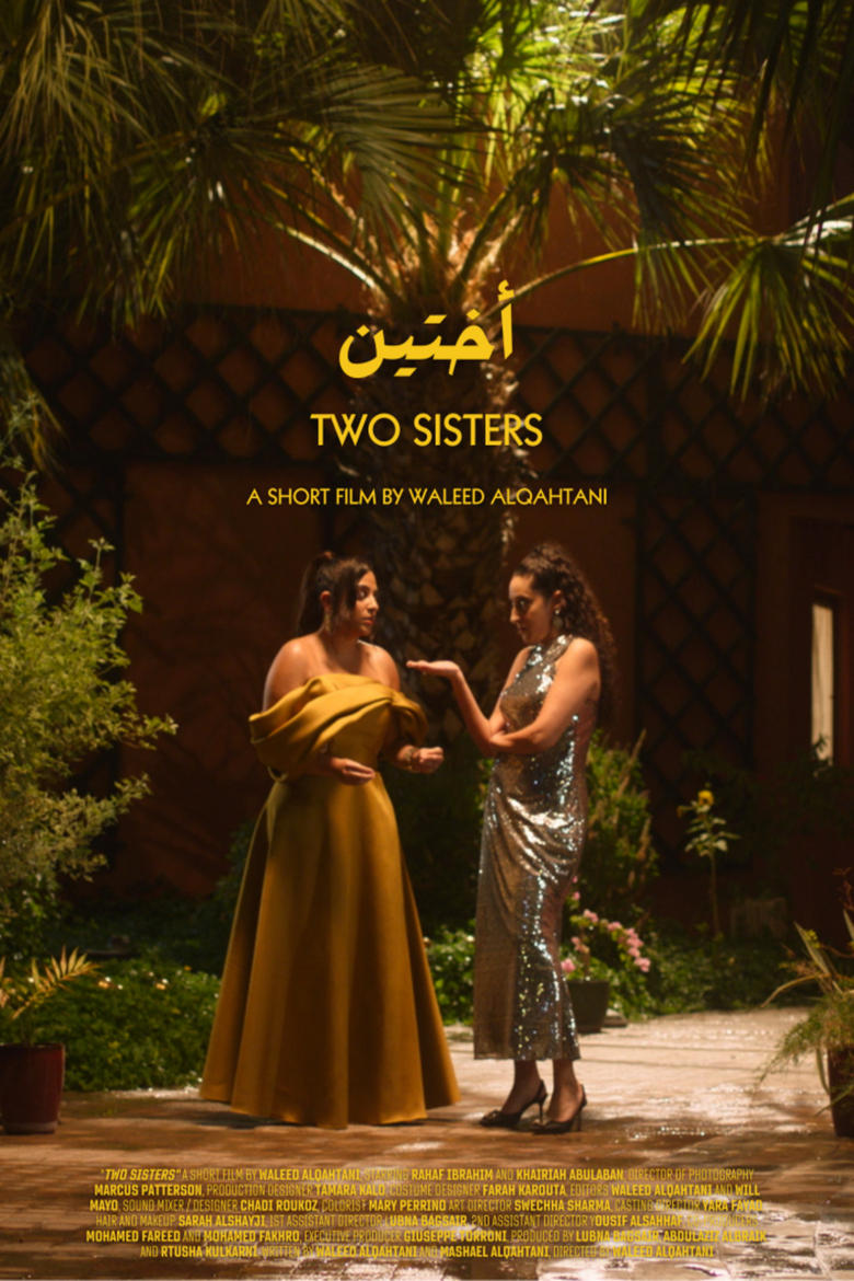 Poster of Two Sisters