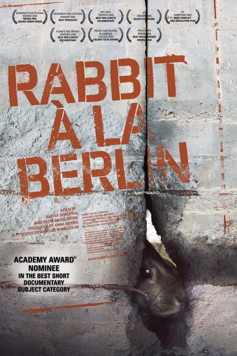 Poster of Rabbit à la Berlin