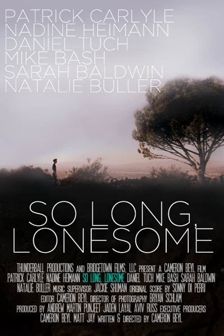 Poster of So Long, Lonesome