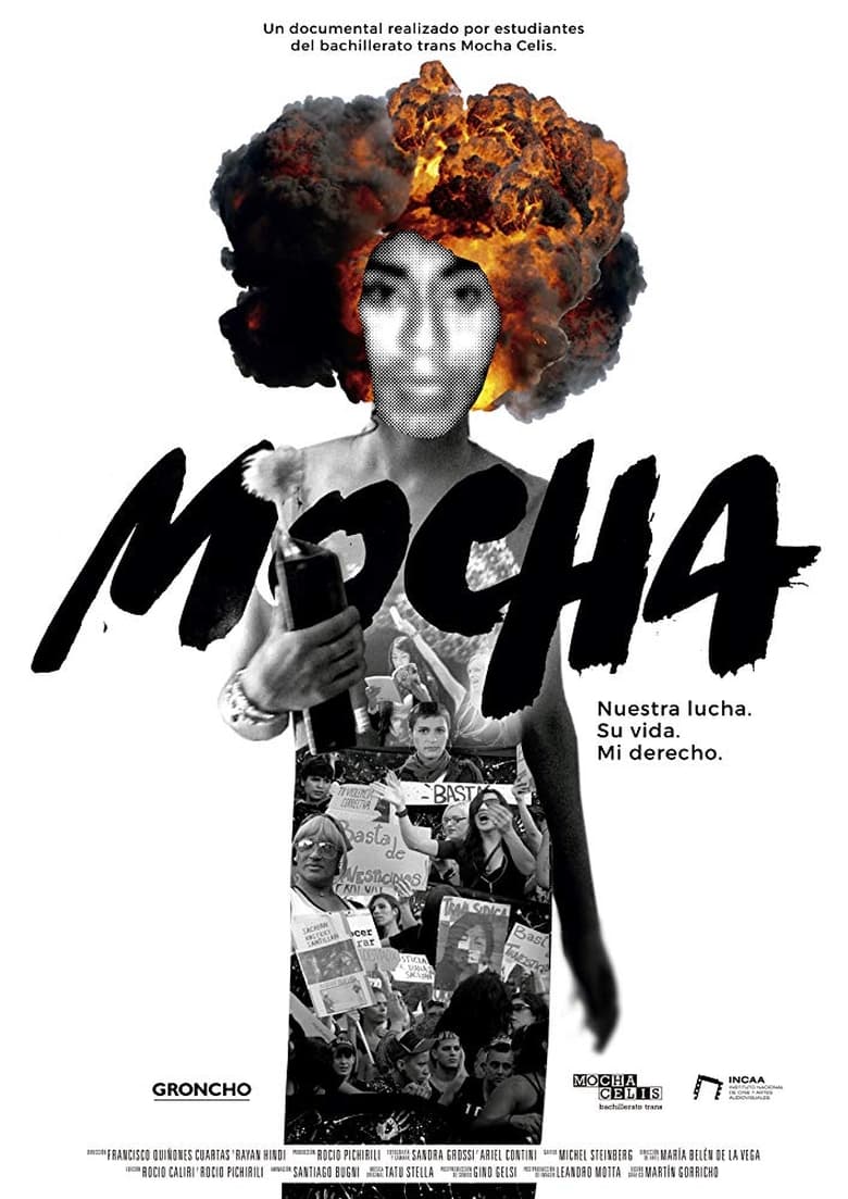 Poster of Mocha