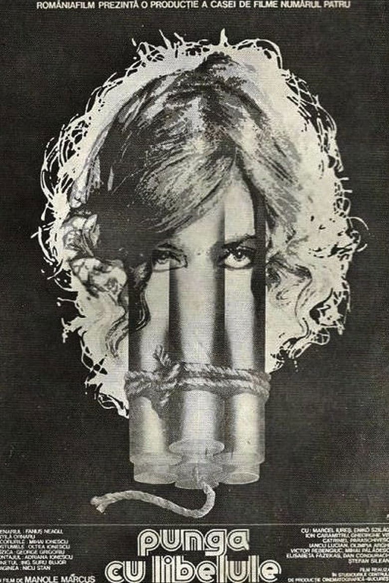 Poster of The Dragonfly Bag