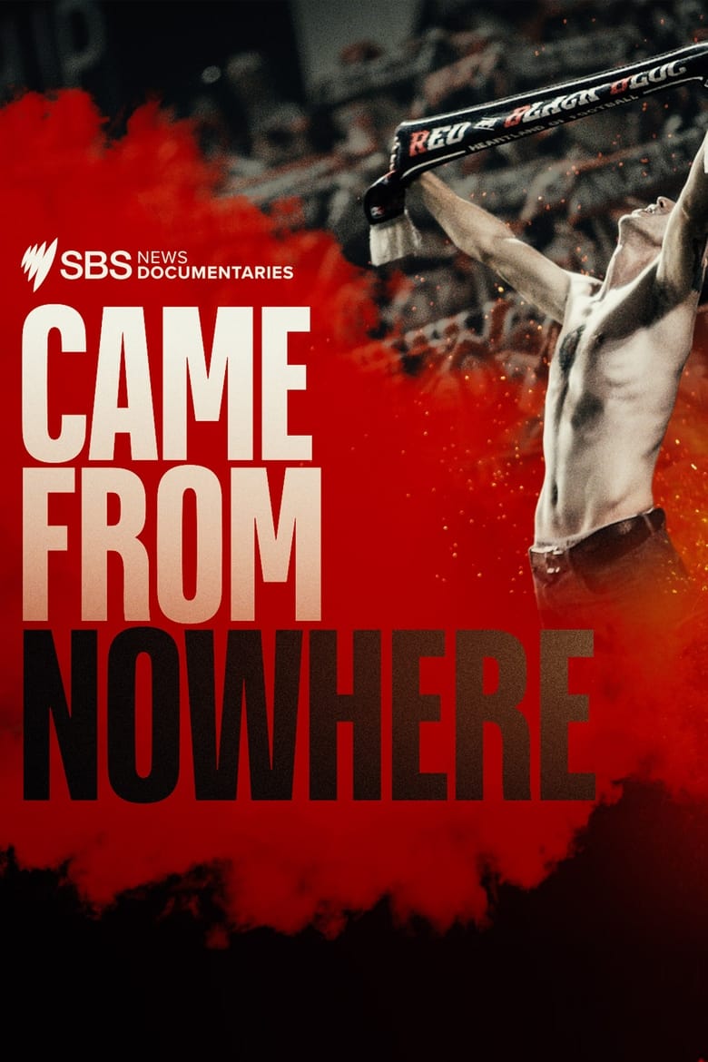 Poster of Came From Nowhere