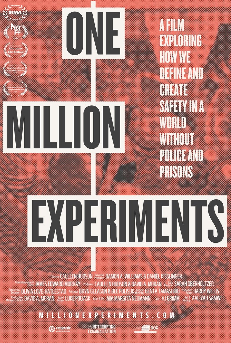 Poster of One Million Experiments