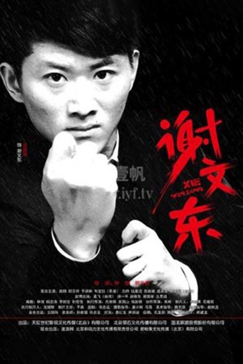 Poster of 谢文东
