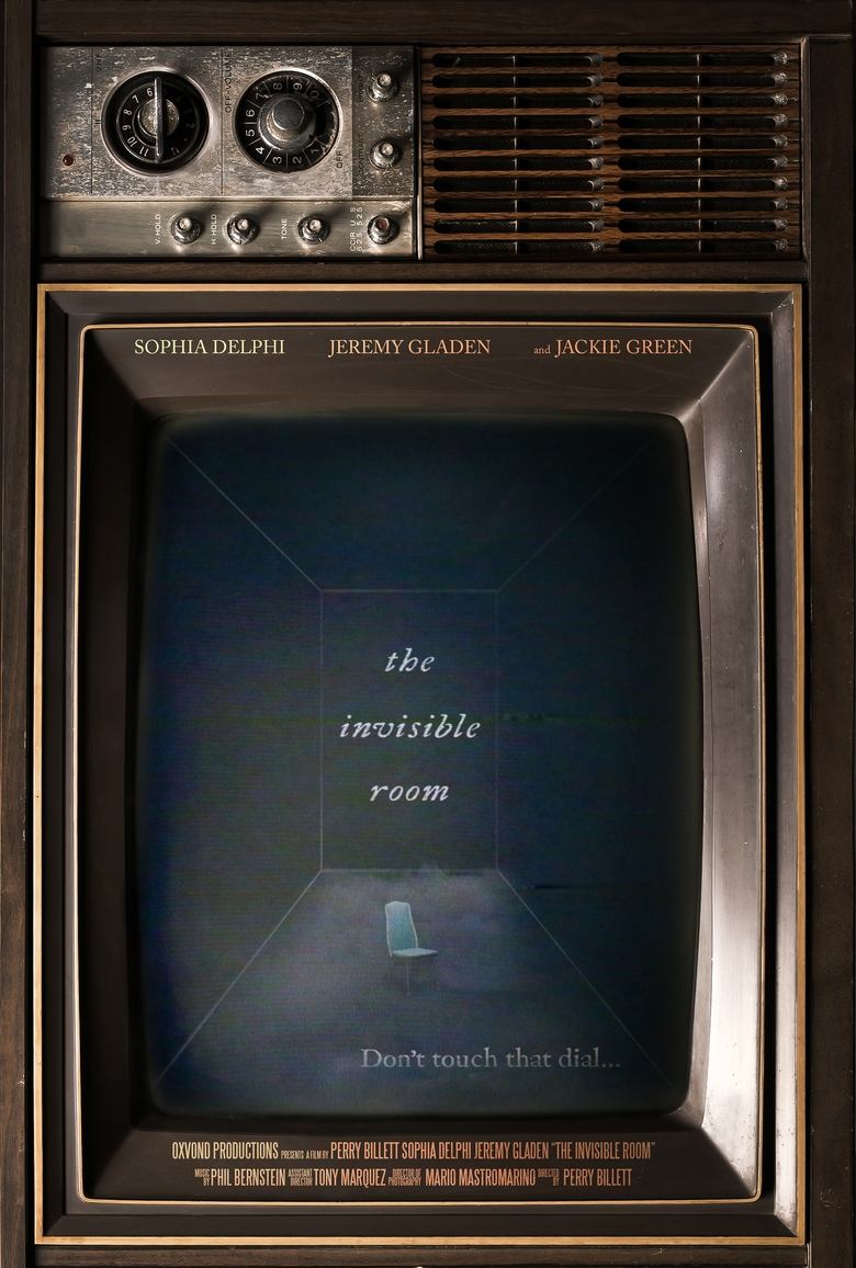 Poster of The Invisible Room