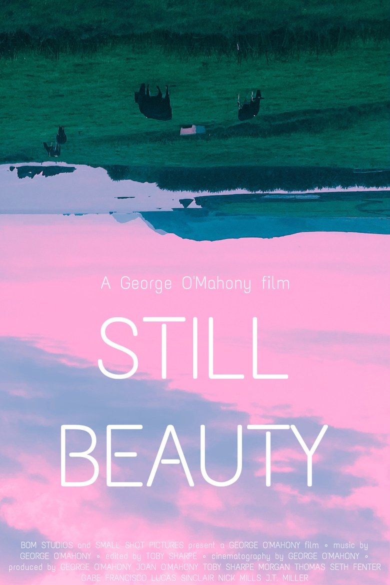 Poster of Still Beauty