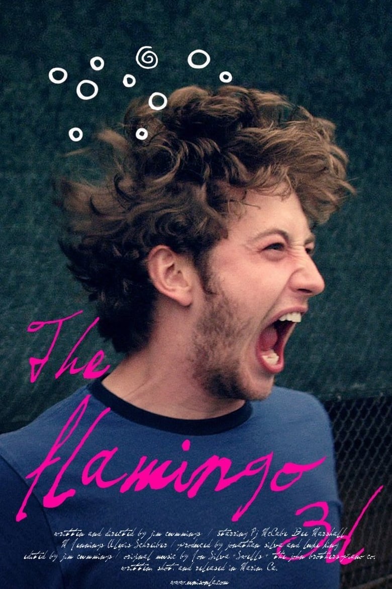 Poster of The Flamingo