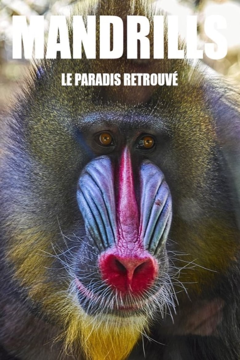 Poster of Mandrills : le paradis retrouvé