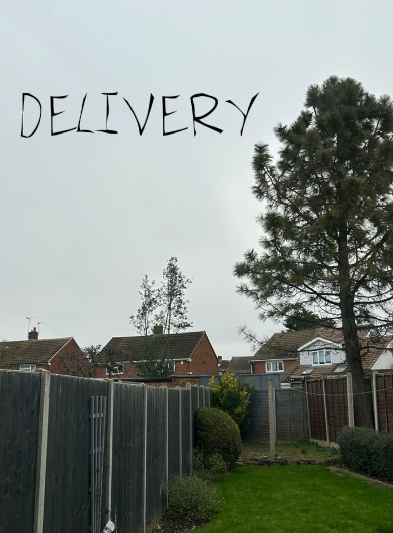 Poster of Delivery