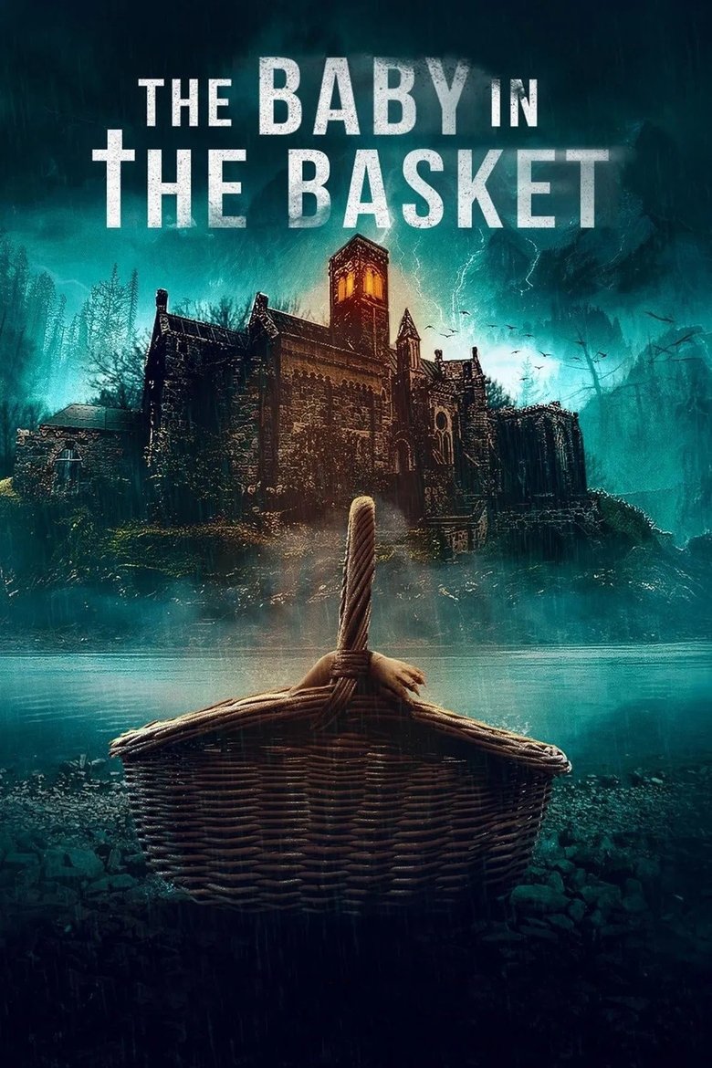 Poster of The Baby in the Basket