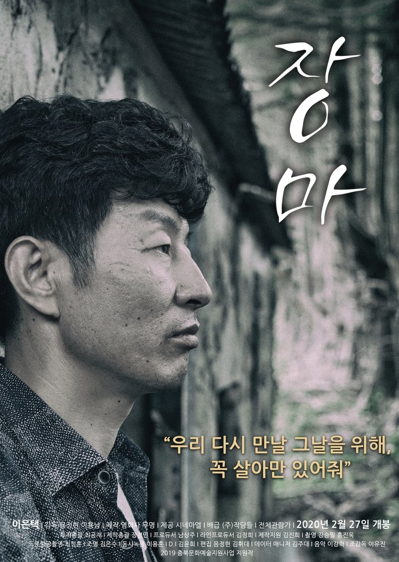 Poster of The Rainy Season