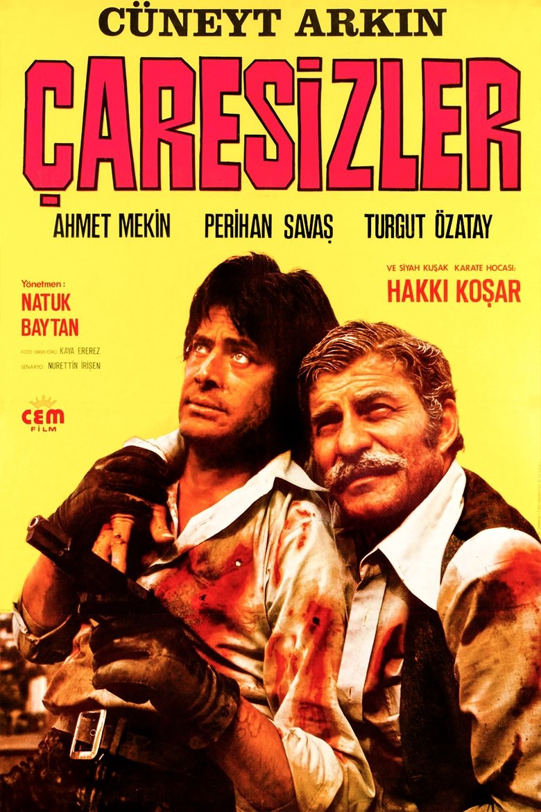 Poster of Çaresizler